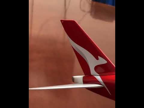 Daron Qantas Single Plane, White, Medium