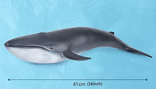 SmilerSmile Simulated Ocean Big Animal, One pc 15Inch Soft Filled Rubber Sea Educational Toys (Blue Whale)