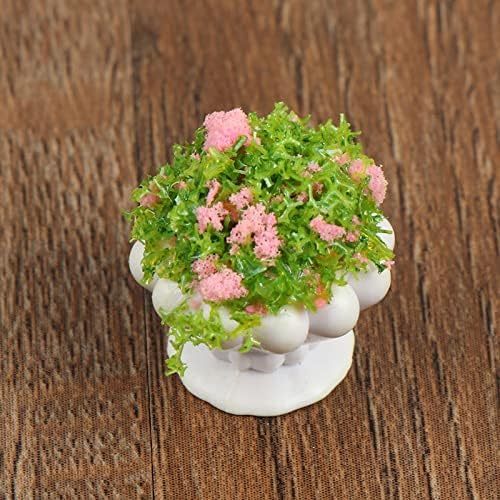 TBoxBo 4 Pcs Dollhouse Plant Bonsai Doll House Mini Potted Plant Artificial Tiny Mini Flowerpot Miniature Hanging Potted Plant Miniature Dollhouse Kit for 1:12 Dollhouse Decor Mini Garden