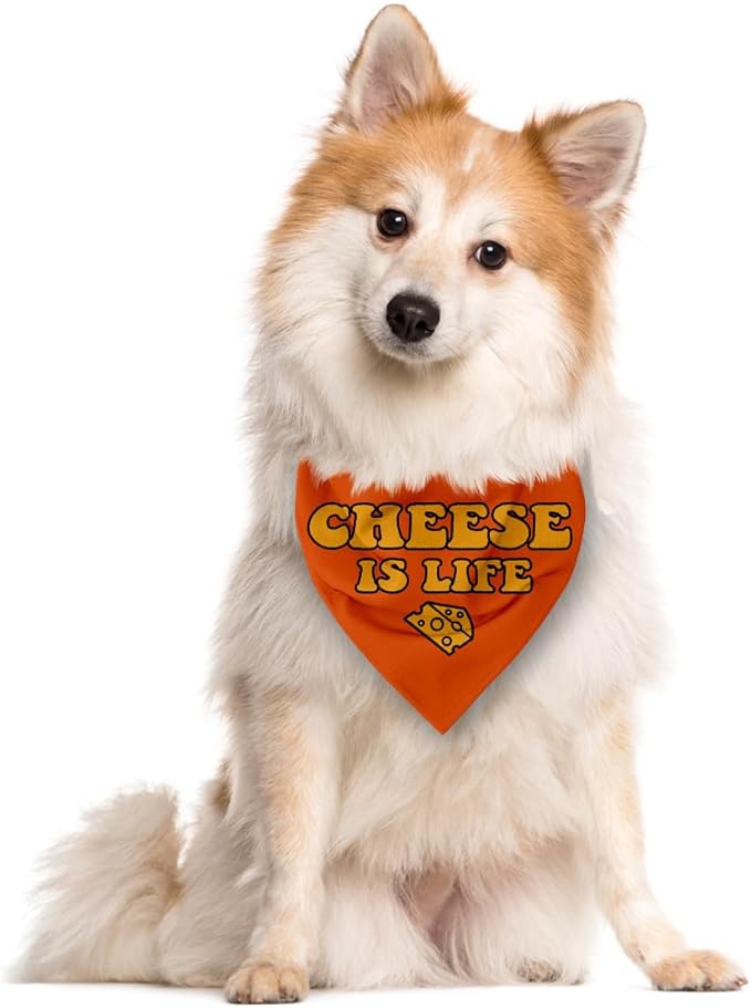 Cheese is Life Dog Bandana, Cartoon Cheese Pattern Dog Bandana, Cute Pet Bandanas for Dogs Cat Lovers Gift, Pet Birthday Party Holiday Props for Small Medium Large