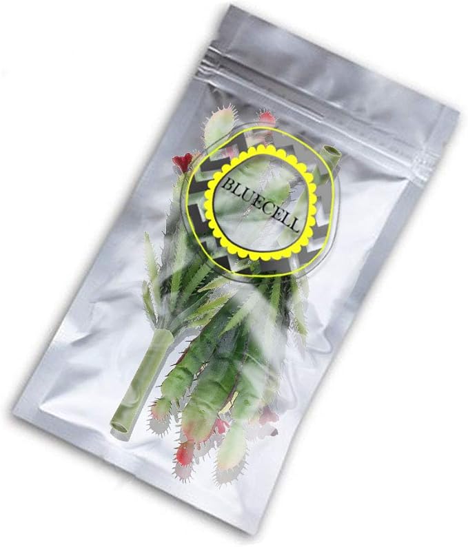Bluecell 2pcs Real Looking Artificial Cactus Artificial Cacti Plant DIY Material for Home Decoration Flower Arrangement