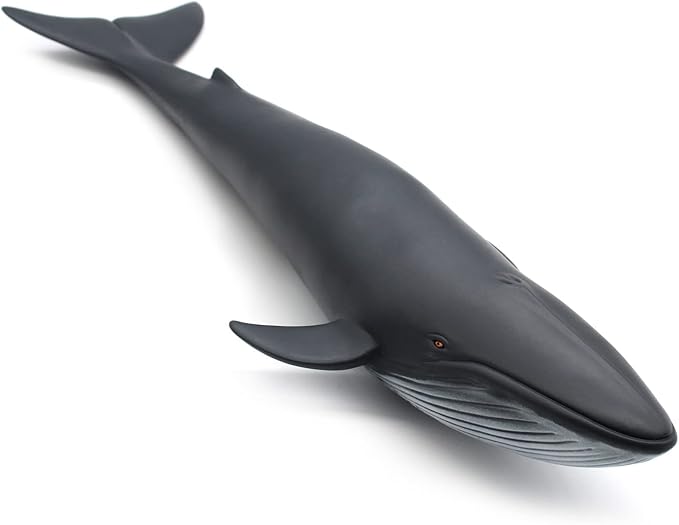 SmilerSmile Simulated Ocean Big Animal, One pc 15Inch Soft Filled Rubber Sea Educational Toys (Blue Whale)