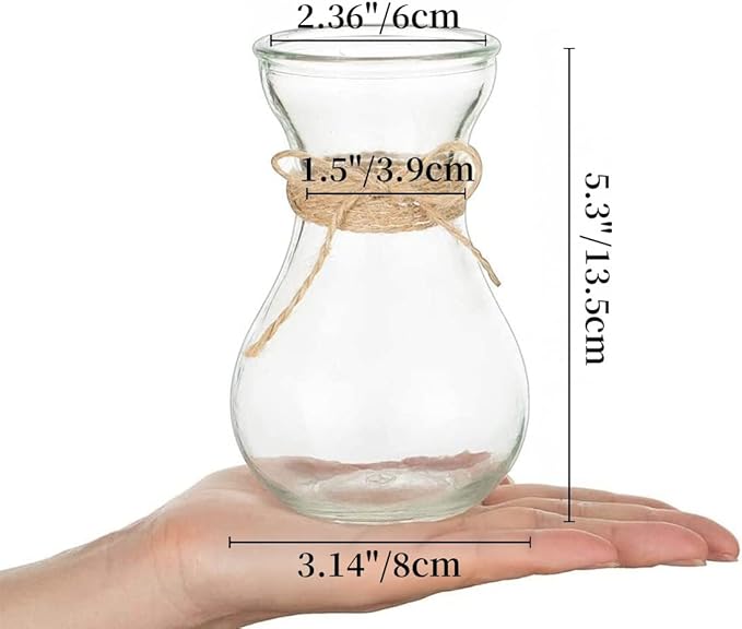 Small Glass Vases for Centerpieces - Hewory 3pcs Clear Mini Hyacinth Avocado Growing Bud Vase Bulk, Cute Tiny Flower Bulb Forcing Plant Containers Set for Wedding Home Living Room Table Decorations