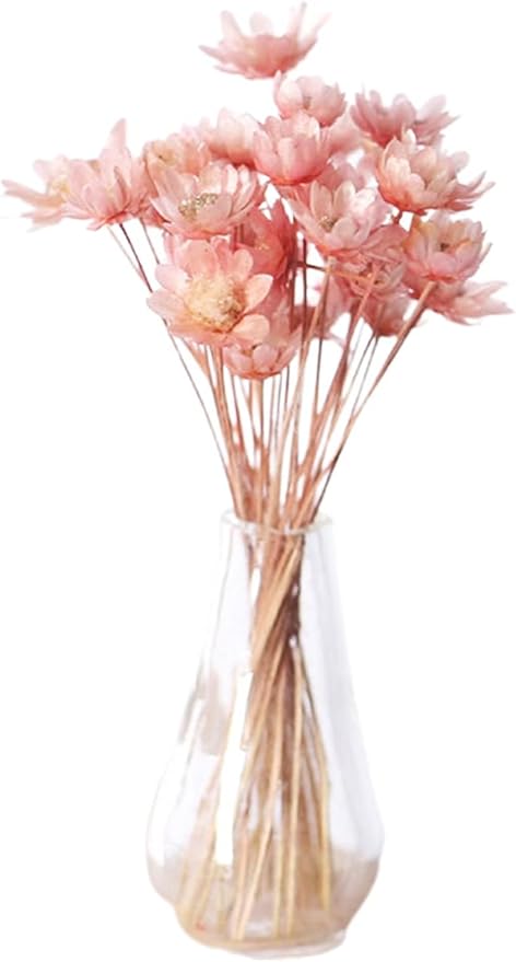 Pink Mini Flower Vase, 1/12 Scale Miniature Dollhouse Accessories Decor, Doll House Mini Flower Bowl Elegant Decoration for Mini Scene Excellent Quality