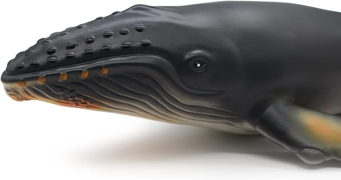 SmilerSmile Simulated Ocean Big Animal, One pc 15Inch Soft Filled Rubber Sea Educational Toys (Humpback)