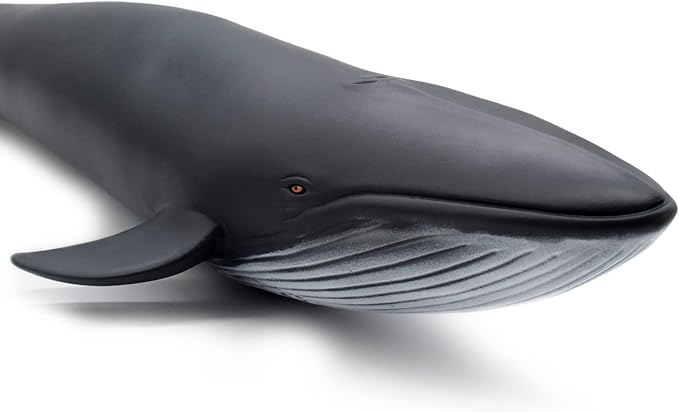 SmilerSmile Simulated Ocean Big Animal, One pc 15Inch Soft Filled Rubber Sea Educational Toys (Blue Whale)