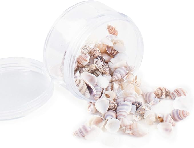 Super Z Outlet Tiny Miniature Fairy Garden Beach Critter Seashells Marine Life Collection for Vase Filler (2 Tbsp Pack)