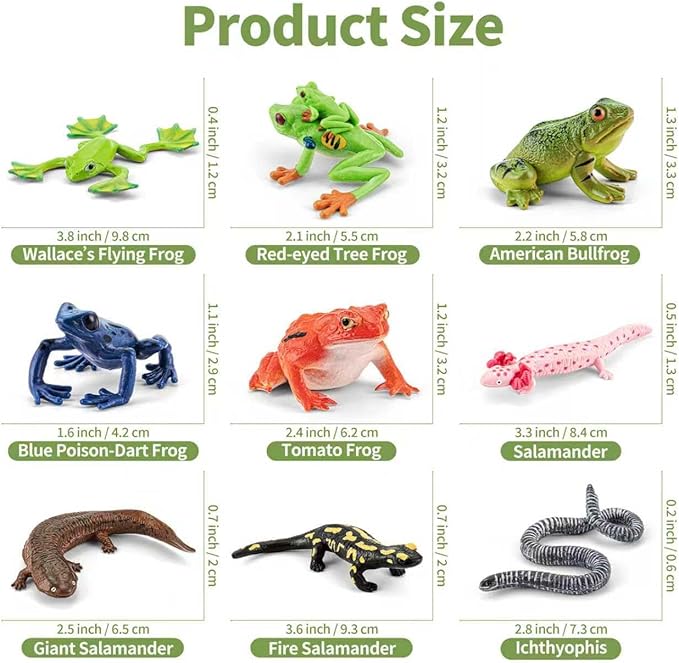9PCS Amphibian Animals Figurines Toys for Kids with Rainforest Reptile Animals Figurines Include Salamanders, Ichthyophis, Frog Figures, Cake Toppers Party Favors for Toddler