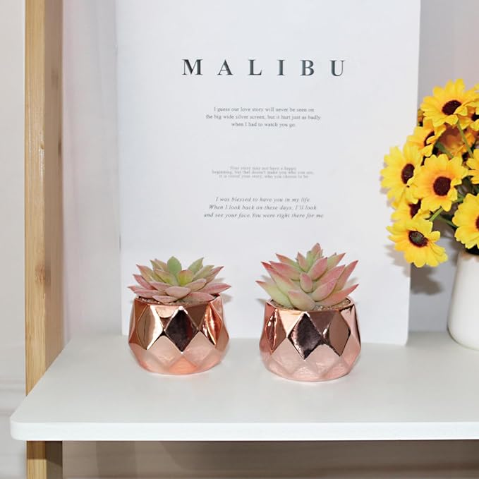 Tiita Artificial Faux Succulents in Pots, Mini Rose Gold Fake Plants for Women Desk, Small Realistic Faux Succulents for Home Office Accessories Window Sill Bathroom Bedroom, Rose Gold