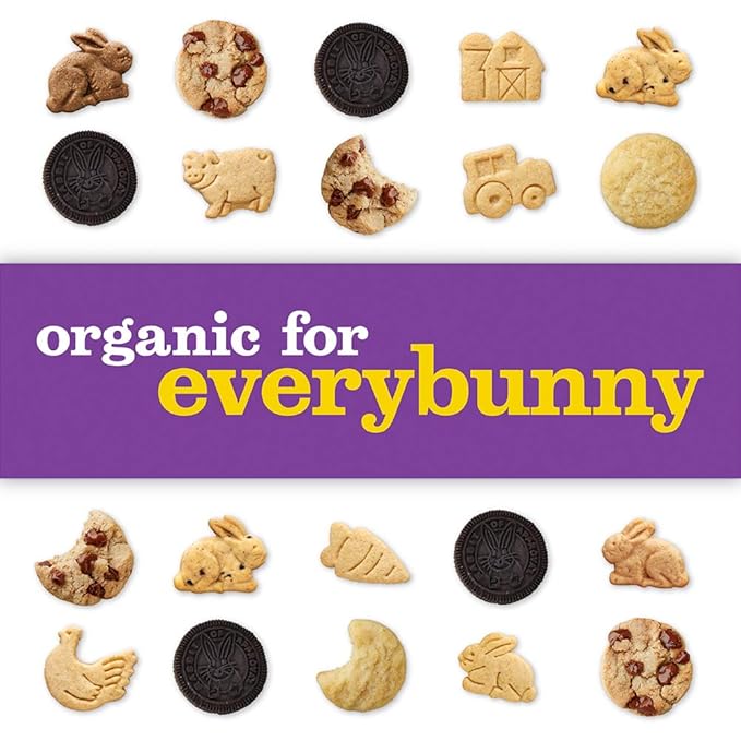 Annie's Organic Chocolate Chip Cookie Bites 10 Ct, 10.5 oz (Pack of 6)