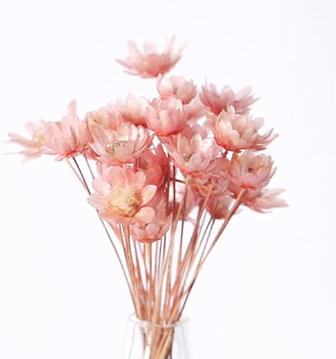 2 Pcs Pink Miniature Dollhouse Flower Vase,1/12 Scale Miniature Accessories Decor, Doll House Mini Flower Bowl Elegant Decoration for Mini Scene,Mini Bowl Decoration Dollhouse Décor