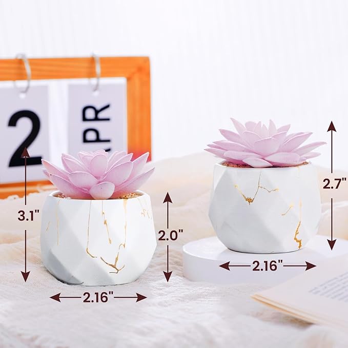 ZENIDA Artificial Succulent Plants in 2 White Ceramic Pots, Cute Fake Plants for Vanity Decor,Office, Desk, Bathroom, Kitchen,Bedroom, Shelves Decor for Women,Girls Gift