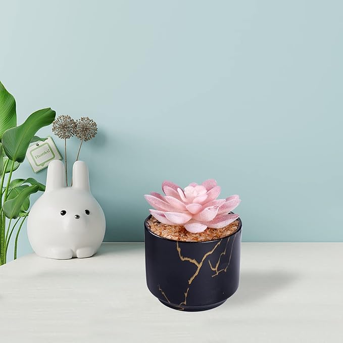 ZENIDA Succulent Artificial Plants,Cute Fake Succulents in 1 Black Ceramic Pots,Small Fake Plants for Office,Table,Desk,Bathroom, Bedroom,Aesthetic Room Shelves Decor,Desk Decorations for Women Office