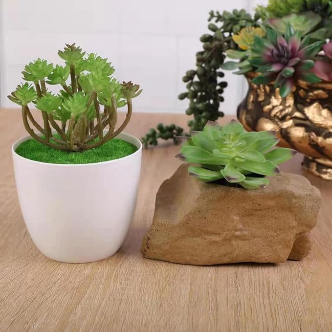 COTSEN 18 Pack Artificial Succulents Realistic Textured Fake Succulents Unpotted Artificial Cactus Plant Suitable for Garden Home Office Greening and Decoration