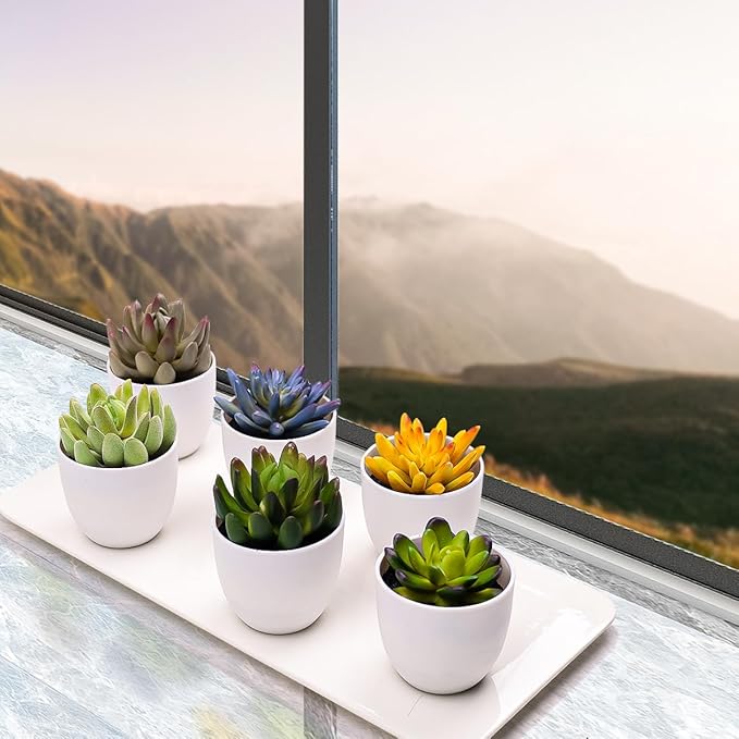 Gresorth Set of 6 Artificial Succulents Plant Decoration in Pots Faux Lotus Landscape Lifelike Assorted Aloe Potted Ornament Wedding Holiday