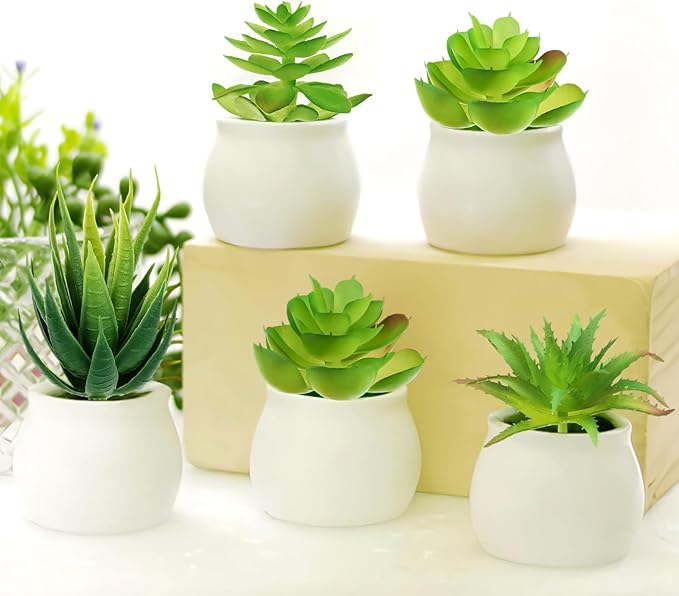 PietyPet Fake Succulent Plants, 6pcs Mini Green Succulent Plants Faux, Artificial Succulents Plants for DIY Crafting Home Floral Wall Office Decoration (excluding pots)