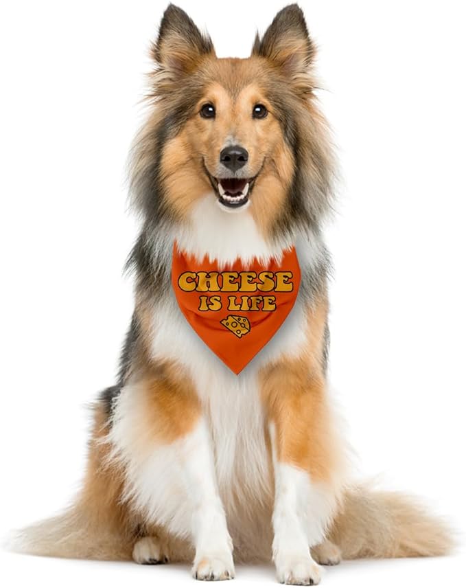Cheese is Life Dog Bandana, Cartoon Cheese Pattern Dog Bandana, Cute Pet Bandanas for Dogs Cat Lovers Gift, Pet Birthday Party Holiday Props for Small Medium Large