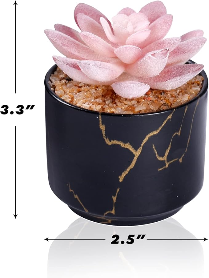 ZENIDA Succulent Artificial Plants,Cute Fake Succulents in 1 Black Ceramic Pots,Small Fake Plants for Office,Table,Desk,Bathroom, Bedroom,Aesthetic Room Shelves Decor,Desk Decorations for Women Office
