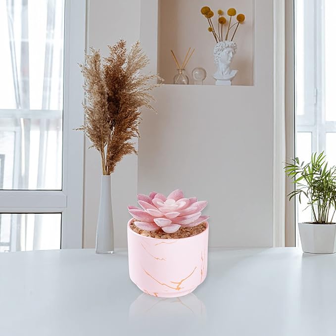 ZENIDA Succulent Artificial Plants,Cute Fake Succulents in 1 Pink Ceramic Pots,Small Fake Plants for Office,Table,Desk,Bathroom, Bedroom,Aesthetic Room Shelves Decor,Desk Decorations for Women Office