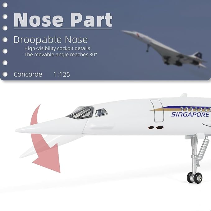 1:125 Concorde Airplane Model Pre-Build Diecast Aircraft Model Kits Aircraft Simulation Model Display Model Collection or Gift(Singapore Airlines)