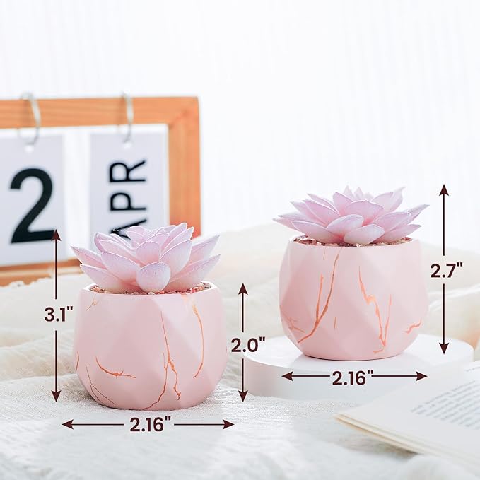 ZENIDA Artificial Succulent Plants in 2 Pink Ceramic Pots, Cute Fake Plants for Vanity Decor,Office, Desk, Bathroom, Kitchen,Bedroom, Shelves Decor for Women,Girls Gift