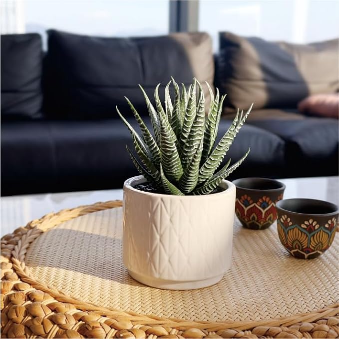 Artificial Succulent in Ceramic Pot, 6.7'' High Potted Fake Aloe Succulent Plant for Home Office Desk Bathroom Boho Shelf Decor, Realistic Faux Aloe with No Maintenance