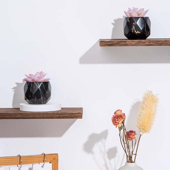 ZENIDA Artificial Succulent Plants in 2 Black Ceramic Pots, Cute Fake Plants for Vanity Decor, Office, Desk, Bathroom, Kitchen, Bedroom, Shelves Decor for Women, Girls Gift