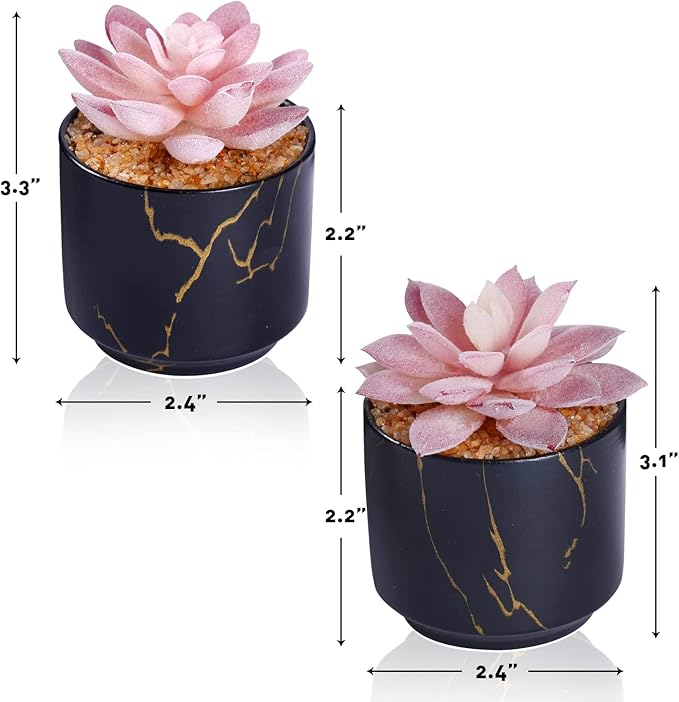 ZENIDA Succulent Artificial Plants,Cute Fake Succulents in 2 Black Ceramic Pots,Small Fake Plants for Office,Table,Desk,Bathroom, Bedroom,Aesthetic Room Shelves Decor,Desk Decorations for Women Office