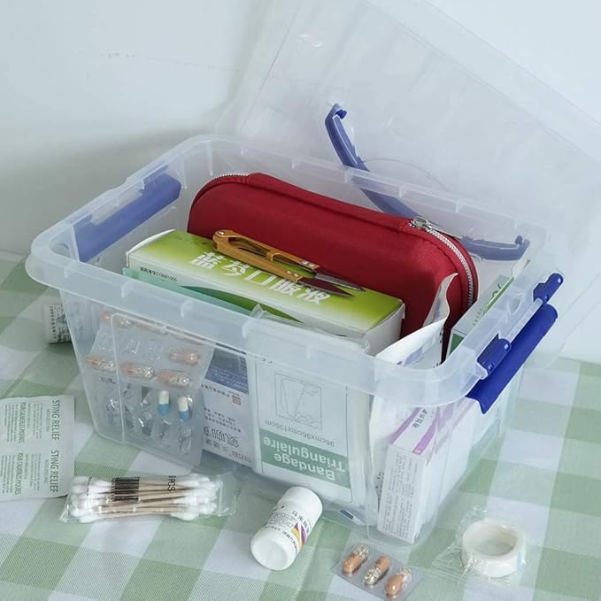 6 L Plastic Storage Box, Clear Boxes with Handles Set of 6