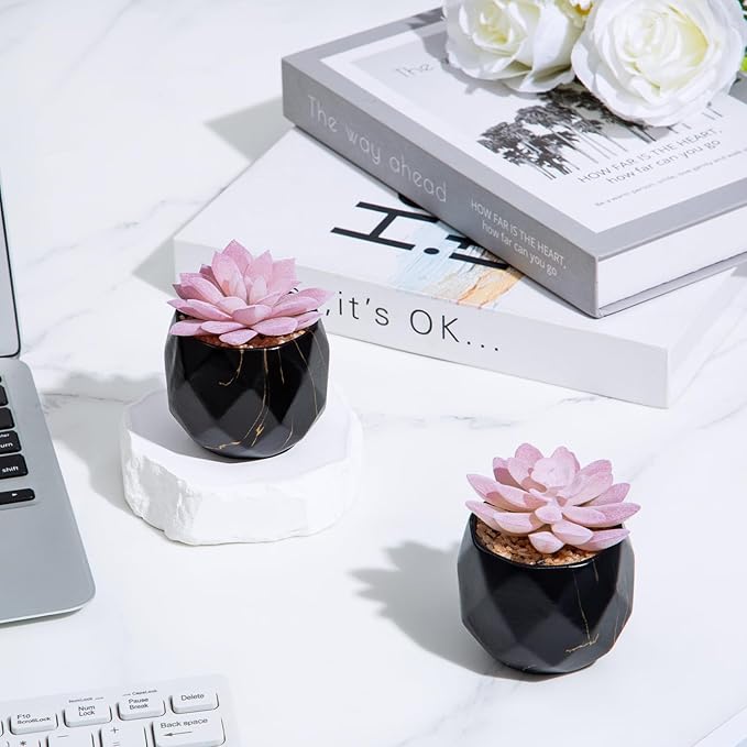 ZENIDA Artificial Succulent Plants in 2 Black Ceramic Pots, Cute Fake Plants for Vanity Decor, Office, Desk, Bathroom, Kitchen, Bedroom, Shelves Decor for Women, Girls Gift