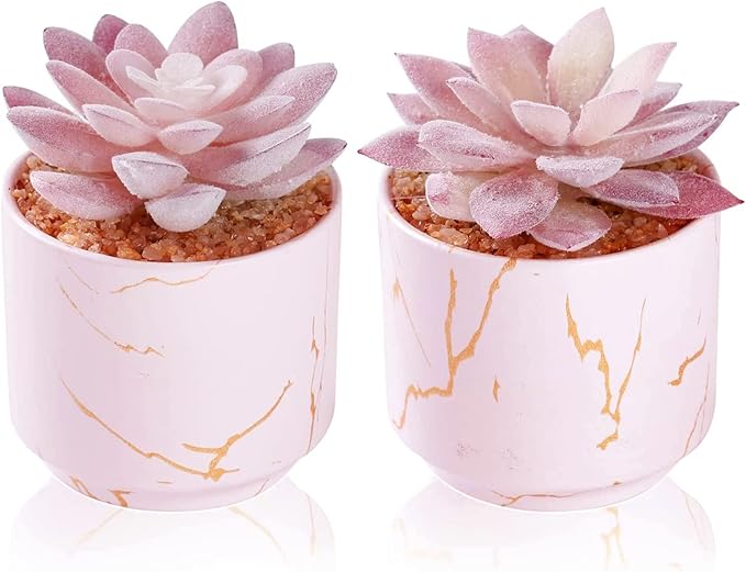 ZENIDA Succulent Artificial Plants,Cute Fake Succulents in 2 Pink Ceramic Pots,Small Fake Plants for Office,Table,Desk,Bathroom, Bedroom,Aesthetic Room Shelves Decor,Desk Decorations for Women Office