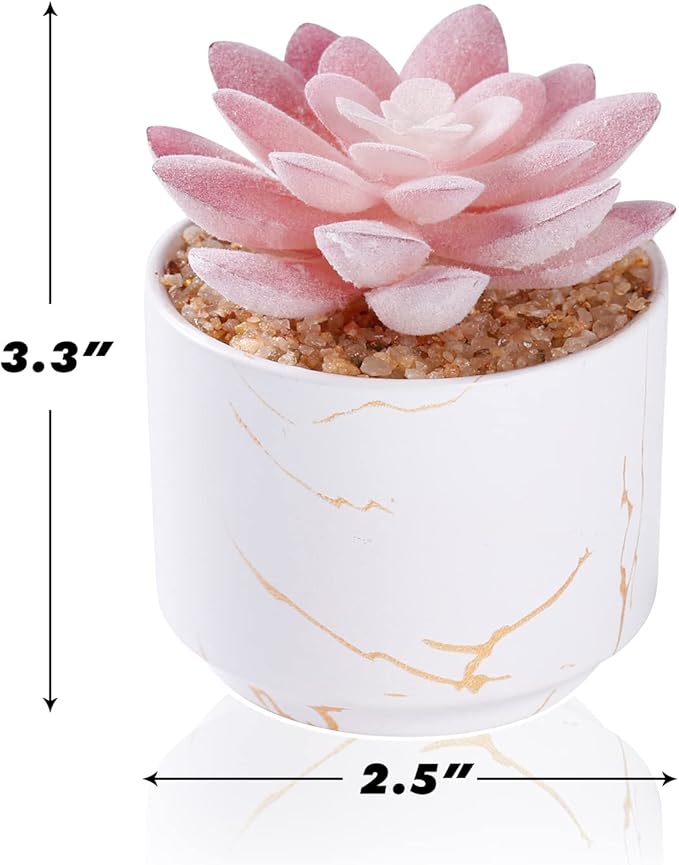 ZENIDA Succulent Artificial Plants,Cute Fake Succulents in 1 White Ceramic Pots,Small Fake Plants for Office,Table,Desk,Bathroom, Bedroom,Aesthetic Room Shelves Decor,Desk Decorations for Women Office