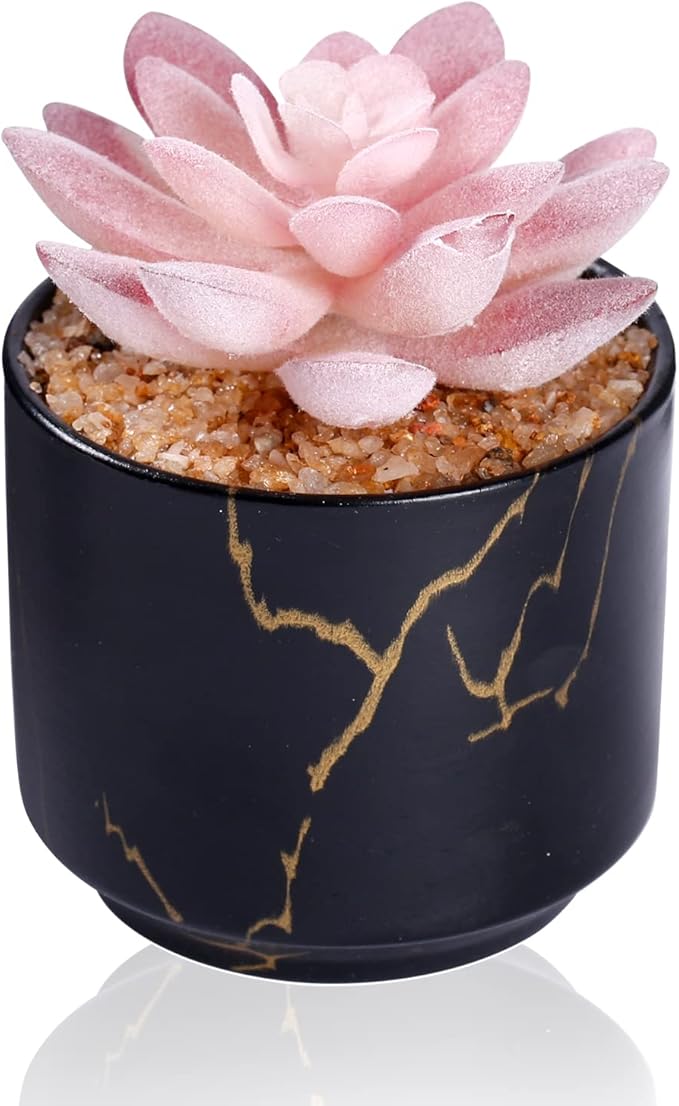 ZENIDA Succulent Artificial Plants,Cute Fake Succulents in 1 Black Ceramic Pots,Small Fake Plants for Office,Table,Desk,Bathroom, Bedroom,Aesthetic Room Shelves Decor,Desk Decorations for Women Office