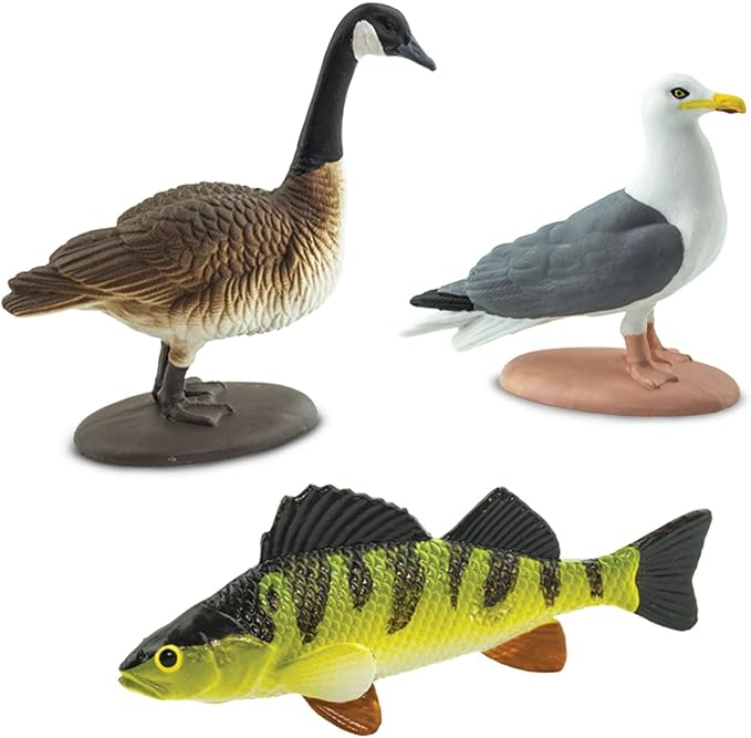 Safari Ltd. Great Lakes TOOB - Figurines of Mudpuppy, Dragonfly, Water Snake, Bat, Goose, Herring Gull, Blue Heron, Lynx, Sturgeon, Yellow Perch - Educational Toys for Boys, Girls & Kids Ages 3+