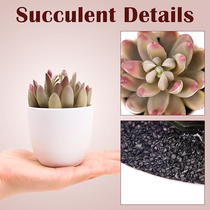 Gresorth Set of 6 Artificial Succulents Plant Decoration in Pots Faux Lotus Landscape Lifelike Assorted Aloe Potted Ornament Wedding Holiday