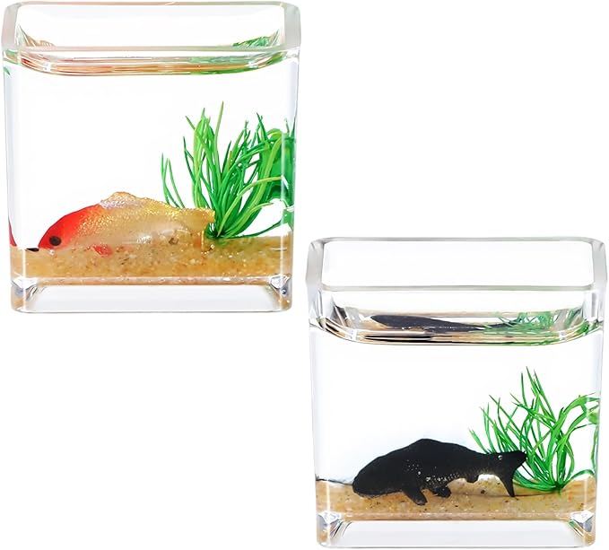 2 Pcs Miniature Fish Tank, Dollhoue Accessories Fish Bowls Resin Goldfish Gras Fish Figurine for Garden Scene Decor, Dollhouse Miniature DIY Craft, Aquarium Fish Ornament