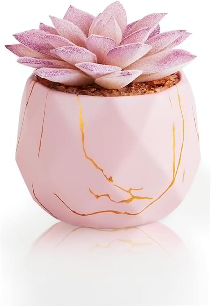 ZENIDA Artificial Succulent Plants in 1 Pink Ceramic Pots, Cute Fake Plants for Vanity Decor, Office, Desk, Bathroom, Kitchen, Bedroom, Shelves Decor for Women, Girls Gift