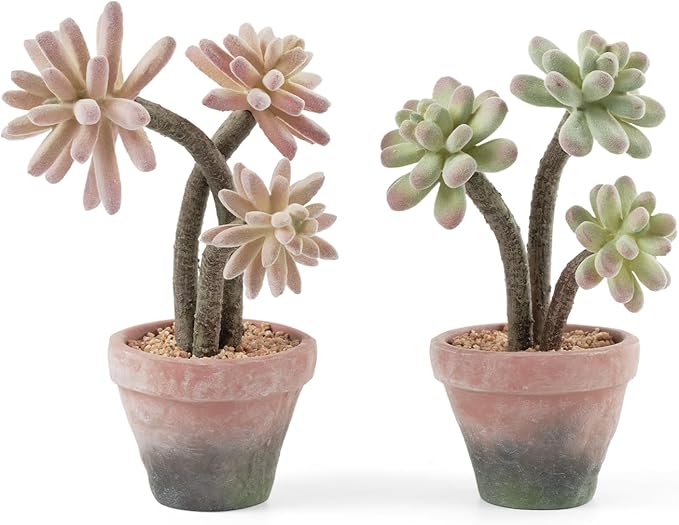 Fuxdre 2-Pack Artificial Succulent Plants in Vintage Plastic Pots - Waterproof Fake Succulents Decor for Home, Office, Desk - Low Maintenance Indoor Plants for Bathroom, Shelf, Table Decor