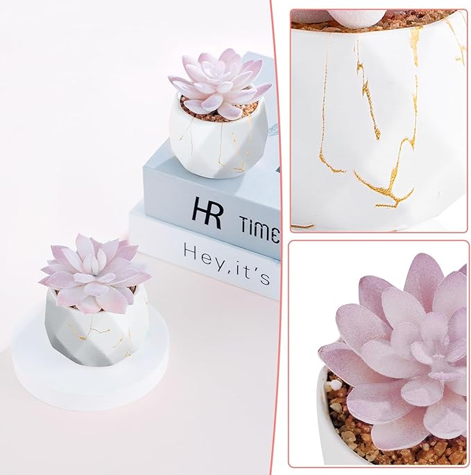 ZENIDA Artificial Succulent Plants in 2 White Ceramic Pots, Cute Fake Plants for Vanity Decor,Office, Desk, Bathroom, Kitchen,Bedroom, Shelves Decor for Women,Girls Gift