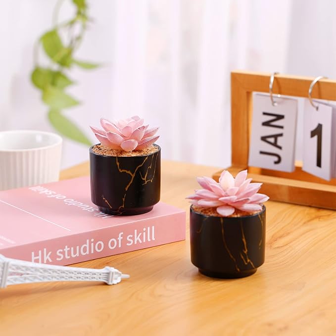 ZENIDA Succulent Artificial Plants,Cute Fake Succulents in 2 Black Ceramic Pots,Small Fake Plants for Office,Table,Desk,Bathroom, Bedroom,Aesthetic Room Shelves Decor,Desk Decorations for Women Office