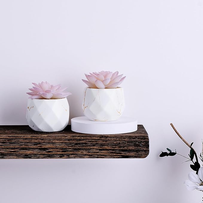 ZENIDA Artificial Succulent Plants in 2 White Ceramic Pots, Cute Fake Plants for Vanity Decor,Office, Desk, Bathroom, Kitchen,Bedroom, Shelves Decor for Women,Girls Gift