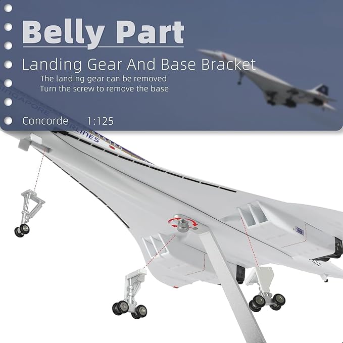1:125 Concorde Airplane Model Pre-Build Diecast Aircraft Model Kits Aircraft Simulation Model Display Model Collection or Gift(Singapore Airlines)