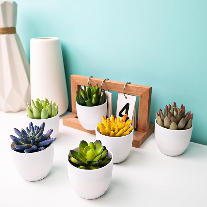 Gresorth Set of 6 Artificial Succulents Plant Decoration in Pots Faux Lotus Landscape Lifelike Assorted Aloe Potted Ornament Wedding Holiday