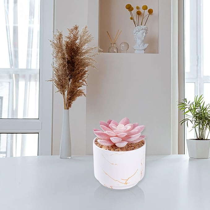 ZENIDA Succulent Artificial Plants,Cute Fake Succulents in 1 White Ceramic Pots,Small Fake Plants for Office,Table,Desk,Bathroom, Bedroom,Aesthetic Room Shelves Decor,Desk Decorations for Women Office