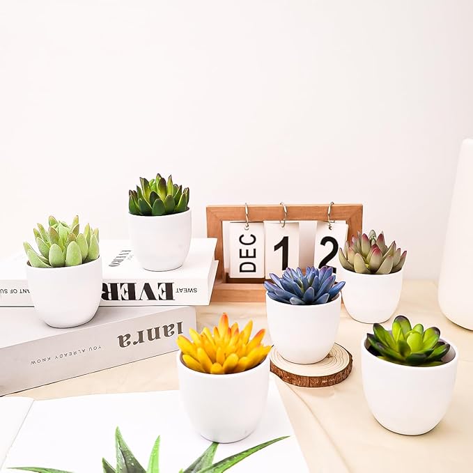 Gresorth Set of 6 Artificial Succulents Plant Decoration in Pots Faux Lotus Landscape Lifelike Assorted Aloe Potted Ornament Wedding Holiday