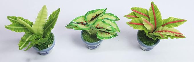 3 Pieces 1:12 Dollhouse Miniature Artificial Flower Plants in Ceramic Pot,Bird's Nest Fern,Homalomena sulcata,RER Bird's Nest Fern Dollhouse Accessories for Collectibles and Home Decoration