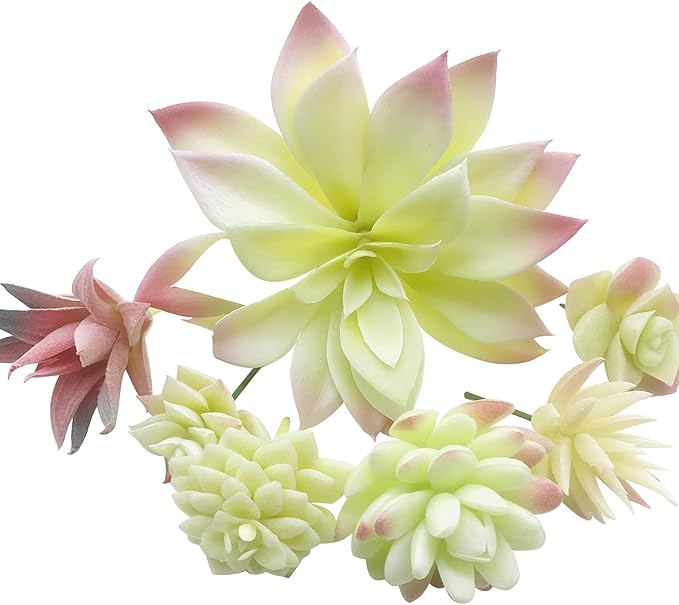 Cayway 20 PCS Artificial Succulents Picks Creamy White Artificial Succulent Plants, Fake Succulent Assortment in Flocked in Different Type for Indoor and Outdoor Home Decor Floral Arrangements