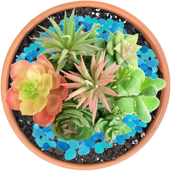 OrgMemory Artificial Succulent Plants, Small Plastic Succulents, Faux Succulents, Suculentas for DIY Garden Decor Succulent Dollhouse Craft Model Miniature Dioramas Miniature Garden Buildings