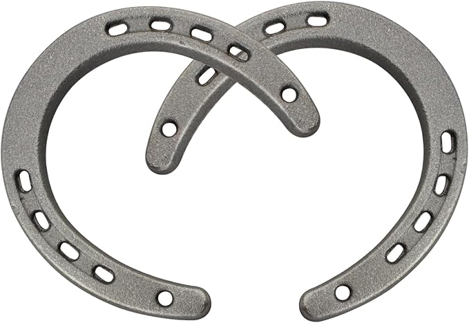 Onseeda Good Lucky Steel Horse-Shoe Wall Decor Cast Iron Horseshoe Ornament Cast Iron Medium Horseshoe Home Decoration(11 Holes on Each Side) 2 Pack