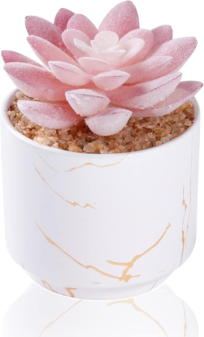 ZENIDA Succulent Artificial Plants,Cute Fake Succulents in 1 White Ceramic Pots,Small Fake Plants for Office,Table,Desk,Bathroom, Bedroom,Aesthetic Room Shelves Decor,Desk Decorations for Women Office